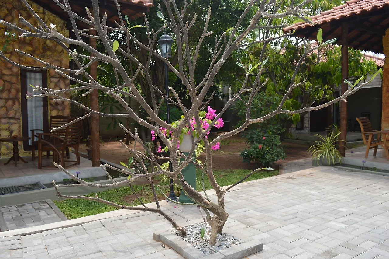 Maple Leaf Village Chalet Negombo