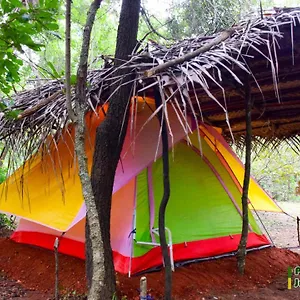 Campsite Sigiri Jungle Camping, Sigiriya